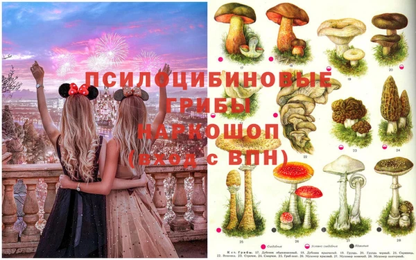 меф VHQ Горно-Алтайск