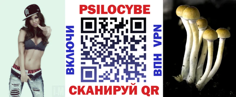 shop состав  Муром  Псилоцибиновые грибы MAGIC MUSHROOMS 